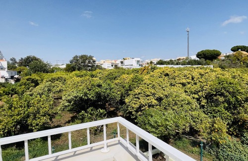 Branqueira Villa | Lara Lima CIP