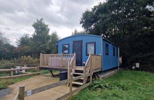 Llanfair Caereinion Cabin | Large Glamping Hut - Riverview 13
