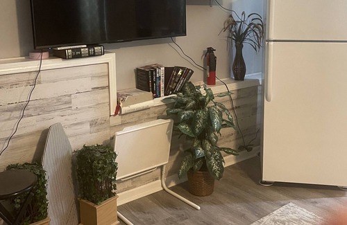 Bellevue House | Large private room and private bathroom enter through our front door quite clean