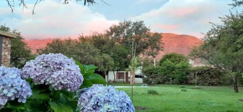 Cortaderas House | Las Guardia