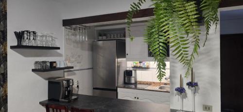San Agustin Apartment | Las Lomas