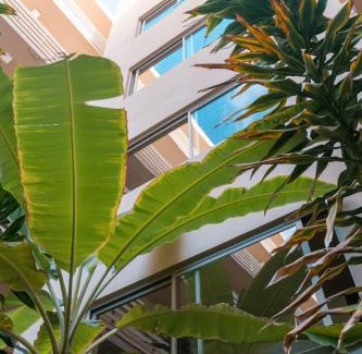 Mindelo Apartment | Las Rochas