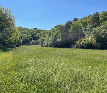Montignac House | Lascaux Countryside Gîtes 4 people