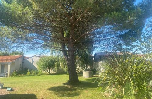 La Faute-sur-Mer House | Laurier rose
