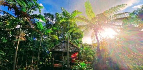 Tanna Island Bed & Breakfast | Lava view Bungalows