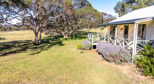 Middleton House | Lavendar & Grevillea
