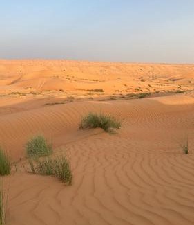 Bidiya Other | layali camp