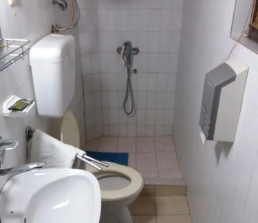 Banja Koviljaca Apartment | LAZAREV KONAK