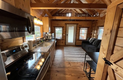 Ashtabula Cabin | Lazy Bear Cabin in between Geneva-on-the-Lake and the Historic Ashtabula Harbor