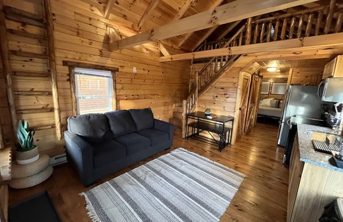 Ashtabula Cabin | Lazy Bear Cabin in between Geneva-on-the-Lake and the Historic Ashtabula Harbor