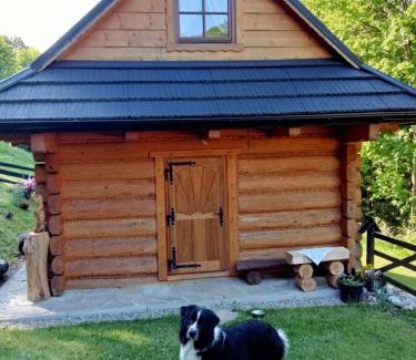 Polany Ski Chalet | Leśna Głusza