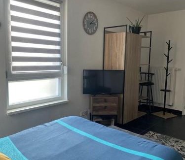 Obernai Apartment | Le Beffroi
