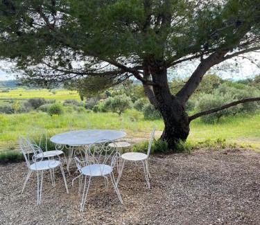 Saint-Hippolyte-le-Graveyron House | Le Cabanon des oliviers