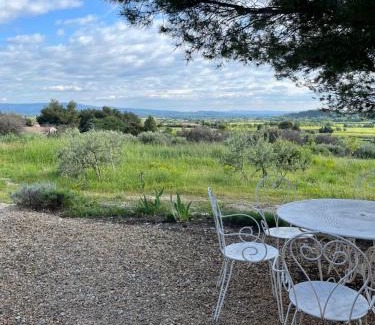 Saint-Hippolyte-le-Graveyron House | Le Cabanon des oliviers