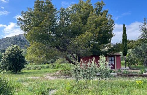 Saint-Hippolyte-le-Graveyron House | Le Cabanon des oliviers