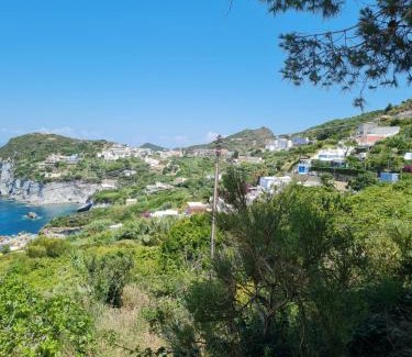 Le Forna Apartment | Le Case dei Pescatori - Albicocco