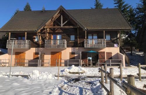 Besse-et-Saint-Anastaise Apartment | Le chalet de "Lamarmotte" T3 rénové avec terrasse sud en rez de jardin