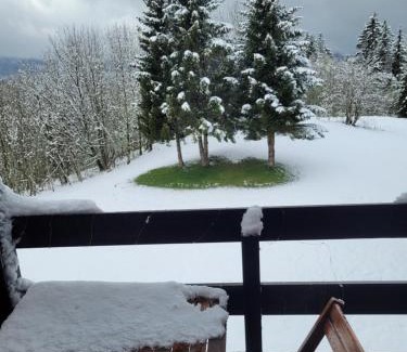 Les Rousses Apartment | LE CHALET, Superbe Duplex Montagnard avec balcon, au calme - Les Rousses, Draps inclus & Parking gratuit