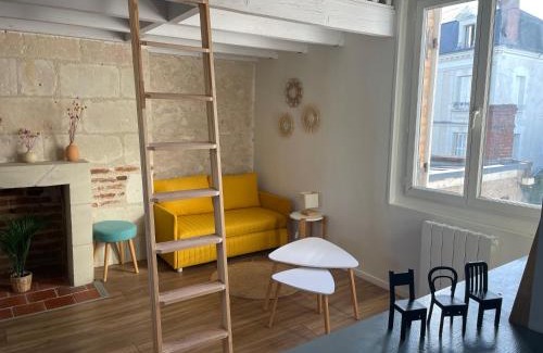 La Fuye-Velpeau Apartment | Le Cocon du Rempart Studio de charme avec mezzanine TOURS centre