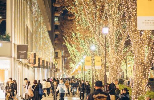 Minamiaoyama Villa | Le Dahlia Omotesando