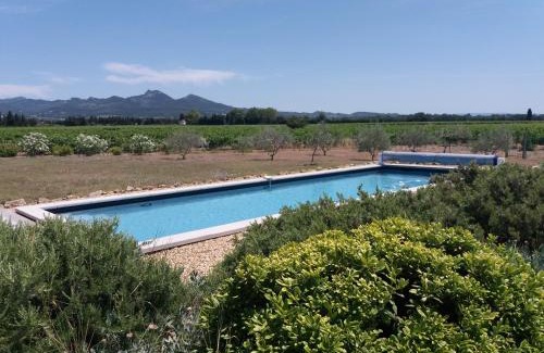 Violes Bed & Breakfast | Le Domaine de Tini
