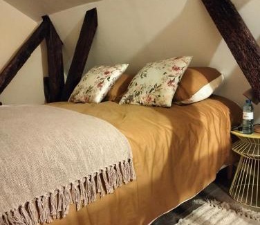 Chinon Apartment | Le logis de Bodard