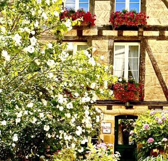 Bergerac Bed & Breakfast | Le Logis Plantagenêt
