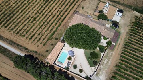 Tresques Bed & Breakfast | Le Mas Andoli
