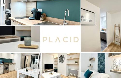 Mont-de-Marsan Apartment | Le Molière - Hyper Centre - Spacieux - Lumineux