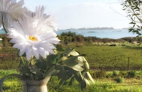 Saint-Pol-de-Leon House | Le petit gîte cosy de Kerigou avec vue mer et plage