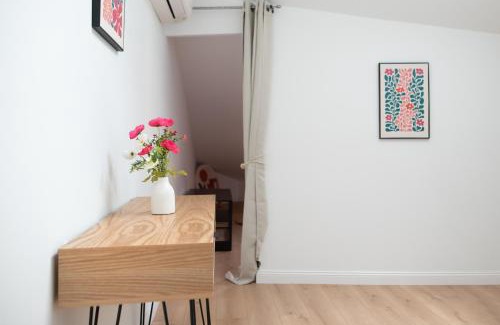 Albi Apartment | Le Phoenix - T3 Centre Ville Clim