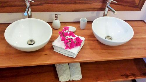 Les Anses-d'Arlets Apartment | Le Pic De La Buse