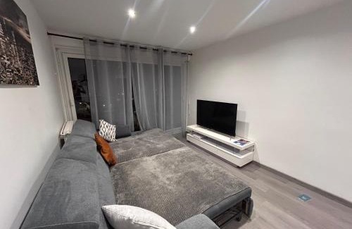 Chalon-sur-Saone Apartment | Le Reflet Gris