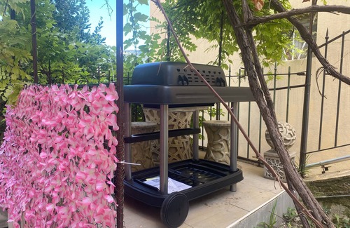 Cimiez Apartment | Le Repos de Nice - 2 Pièce Avec Jardin