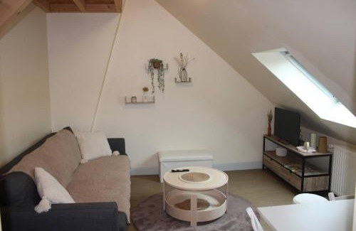 Chinon Apartment | Le Saint-Georges - 2 à 4 pers - Ideal CNPE CHINON