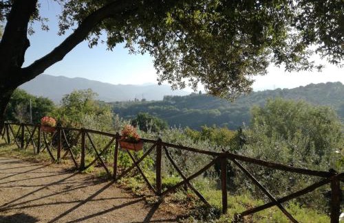 Collescipoli House | Le Storie di Bambu
