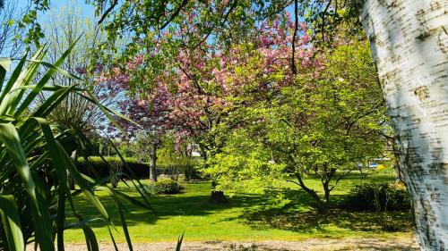 Manneville-la-Raoult House | Le tulipier
