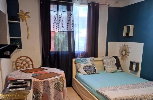 Saint-Pierre De La Reunion Apartment | Le Voyageur à 1 mn du CHU Sud Terre-Sainte, Saint-Pierre
