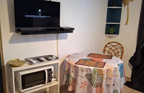 Saint-Pierre De La Reunion Apartment | Le Voyageur à 1 mn du CHU Sud Terre-Sainte, Saint-Pierre