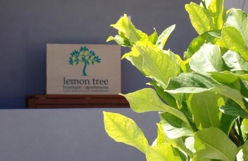 Achlades Apartment | Lemon Tree boutique apartments - Private pool