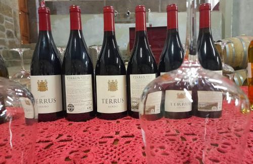 Barro House | Lemon Tree Cottage at Terrus Winery