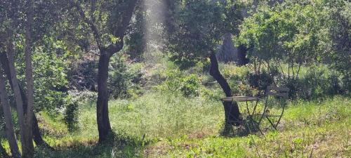 Saint-Esteve-Janson Apartment | LES BOIS DE ZOLA entre Provence et Luberon