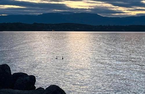 Sciez Other | Les bord du Lac Leman