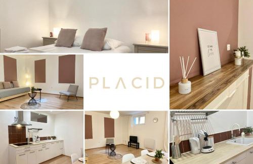 Mont-de-Marsan Apartment | Les Halles 1 - Central - Spacieux - Moderne
