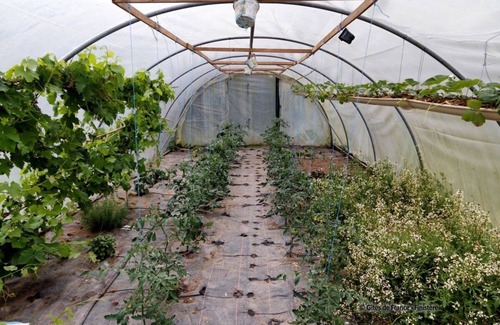 Melgven House | Les Hortensias - Melgven