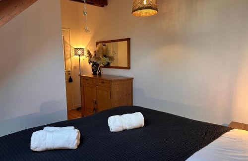 Lanvallay Apartment | Les libellules