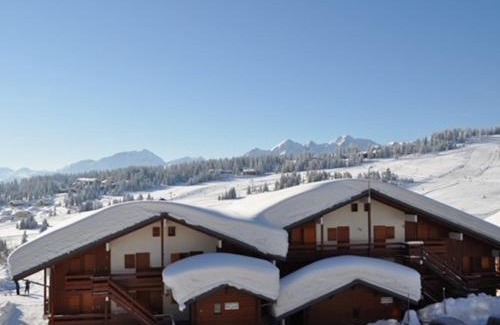 Les Saisies Apartment | Les Saisies - Grand Studio Cabine 4 pers avec balcon sud - FR-1-293-117