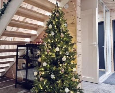Sirkka House | Levin Villa Aurora A
