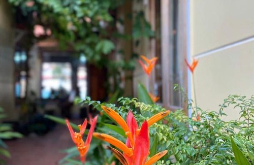 Duong Dong Apartment | Liên Tho Hotel