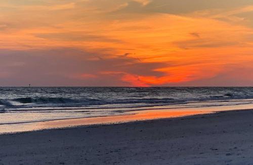Sarasota Apartment | Lido Key Hideout with Patio and Yard and Walk to Beach!